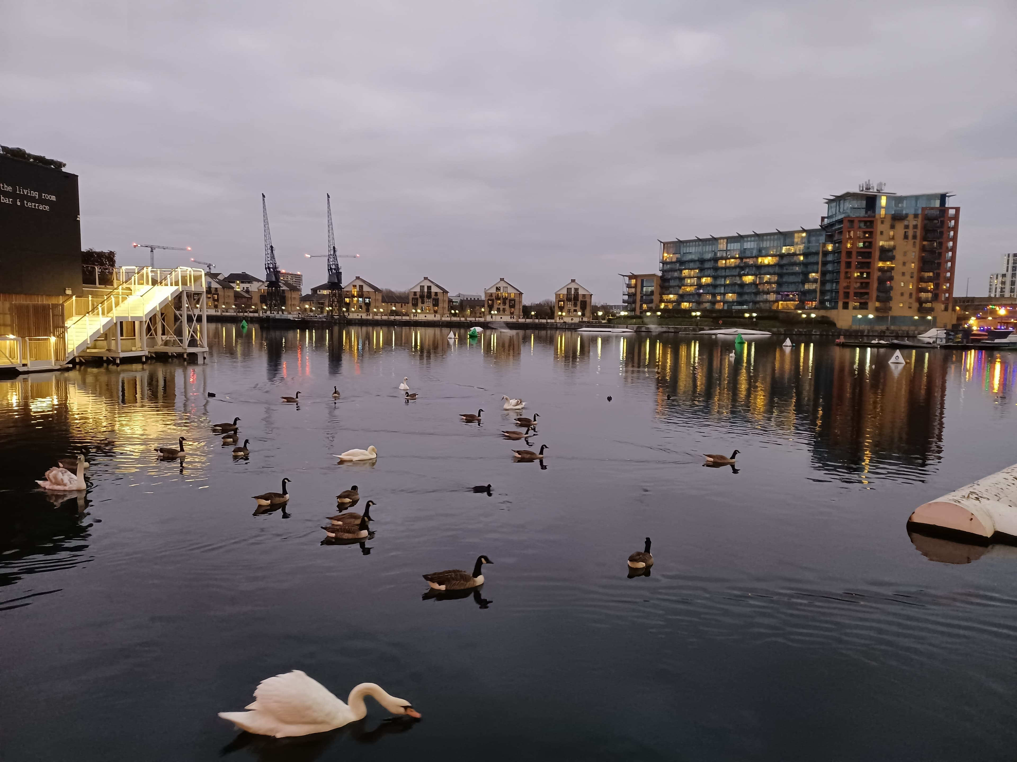 London Otters Rowing Club