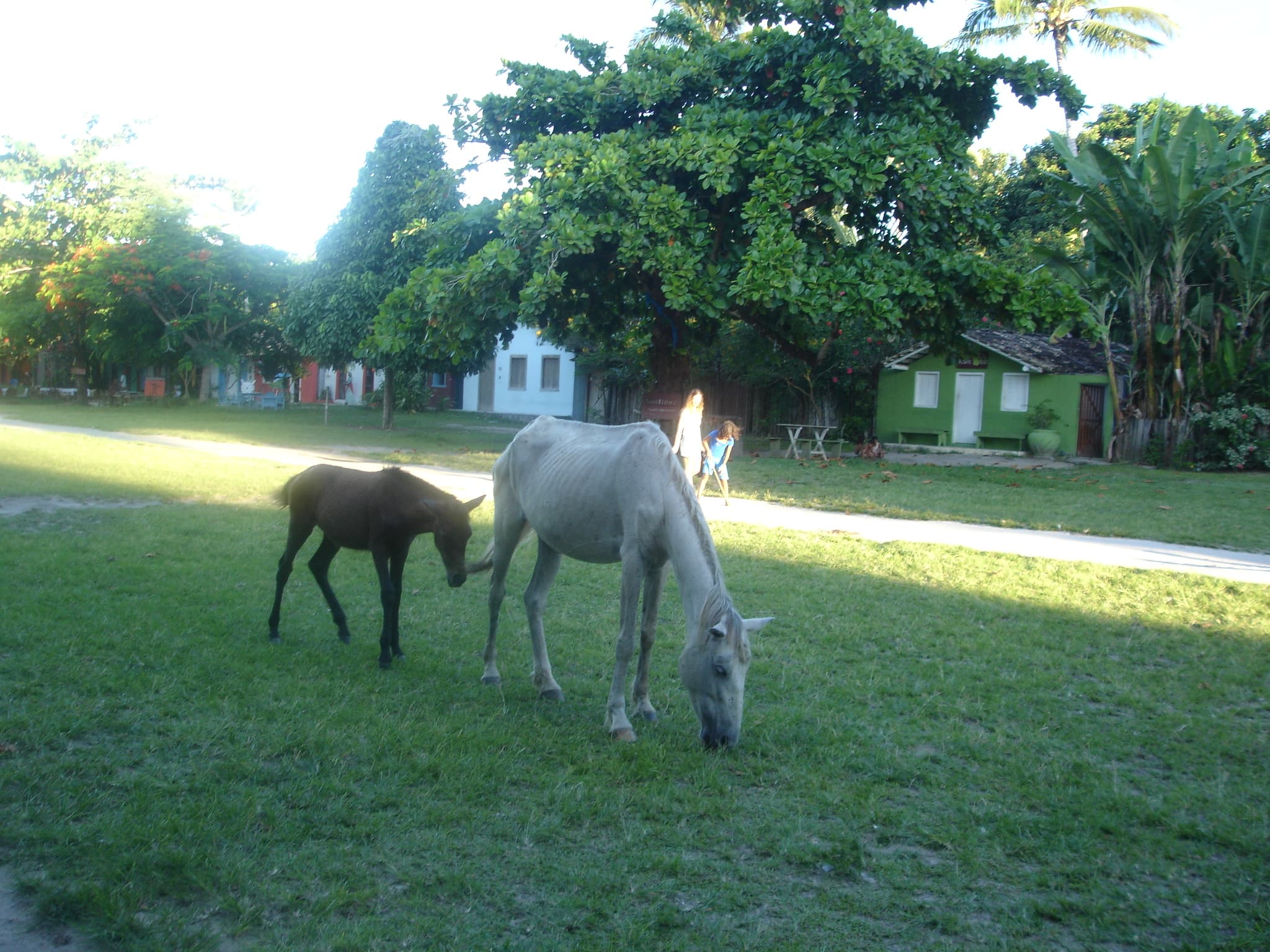 Trancoso